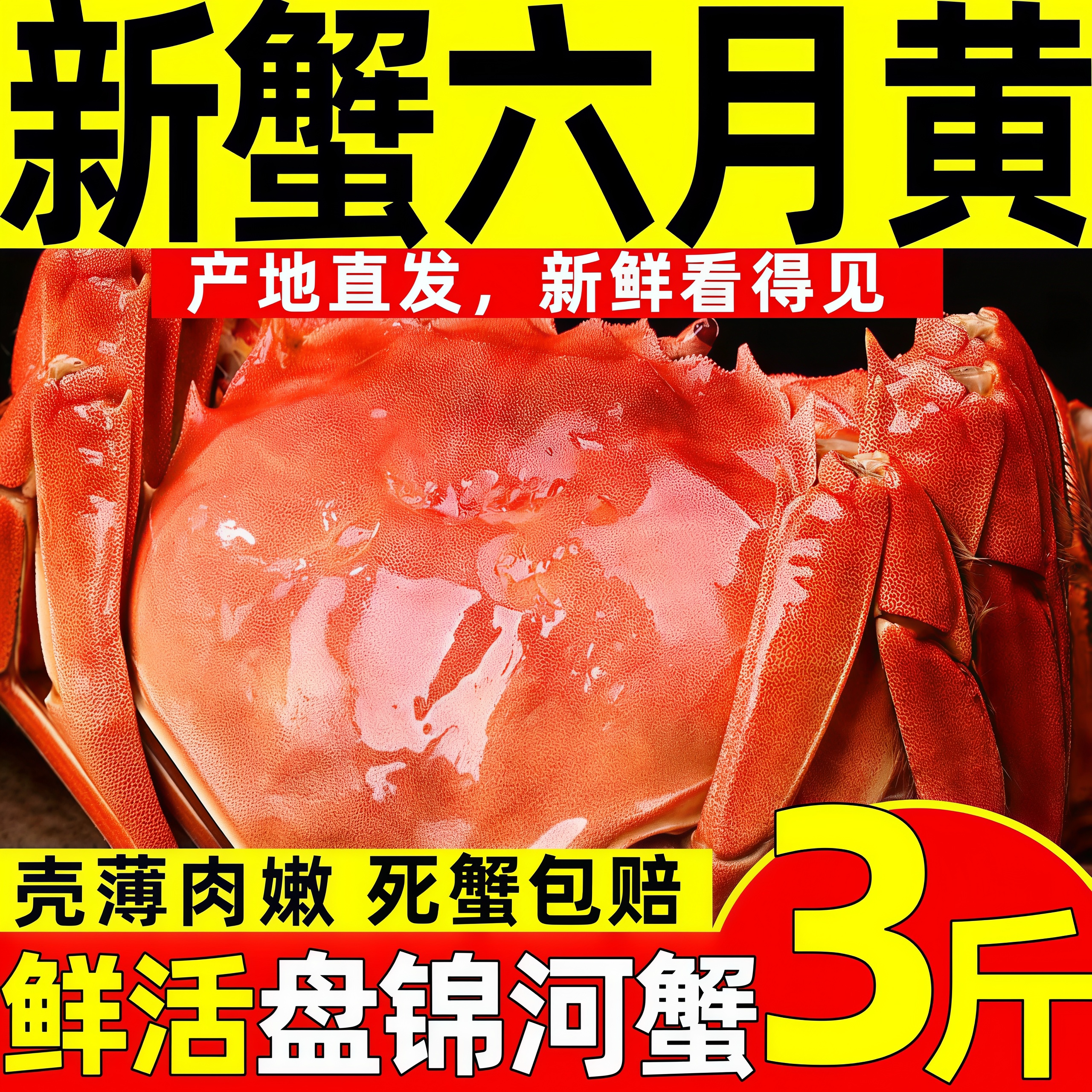 【活蟹】3斤鲜活螃蟹盘锦河蟹六月黄公蟹特大蟹湖蟹送礼含绳河蟹