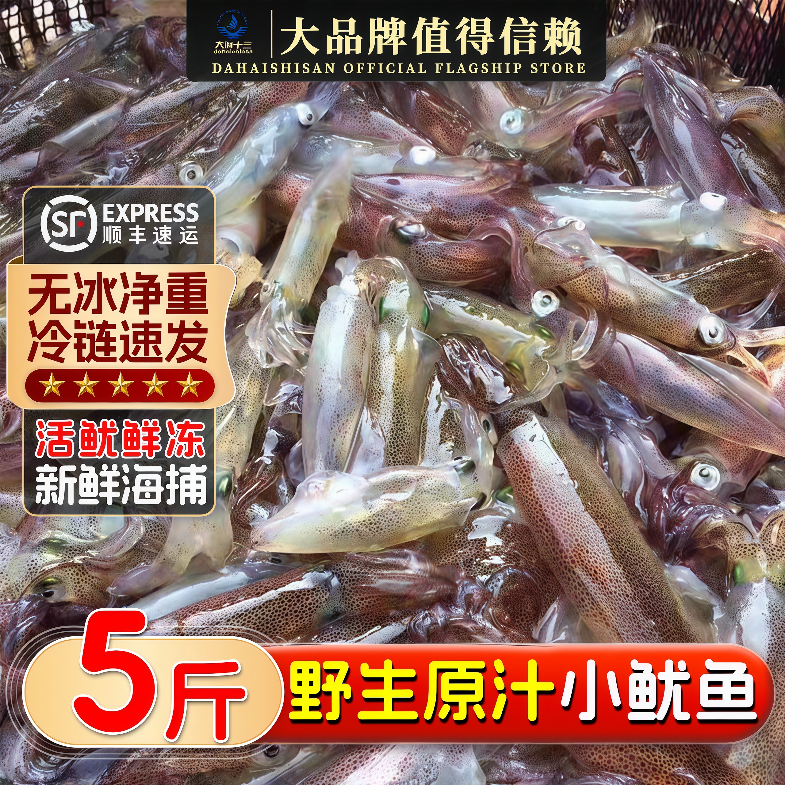 小鱿鱼鲜冻白灼鱿鱼小乌贼商用