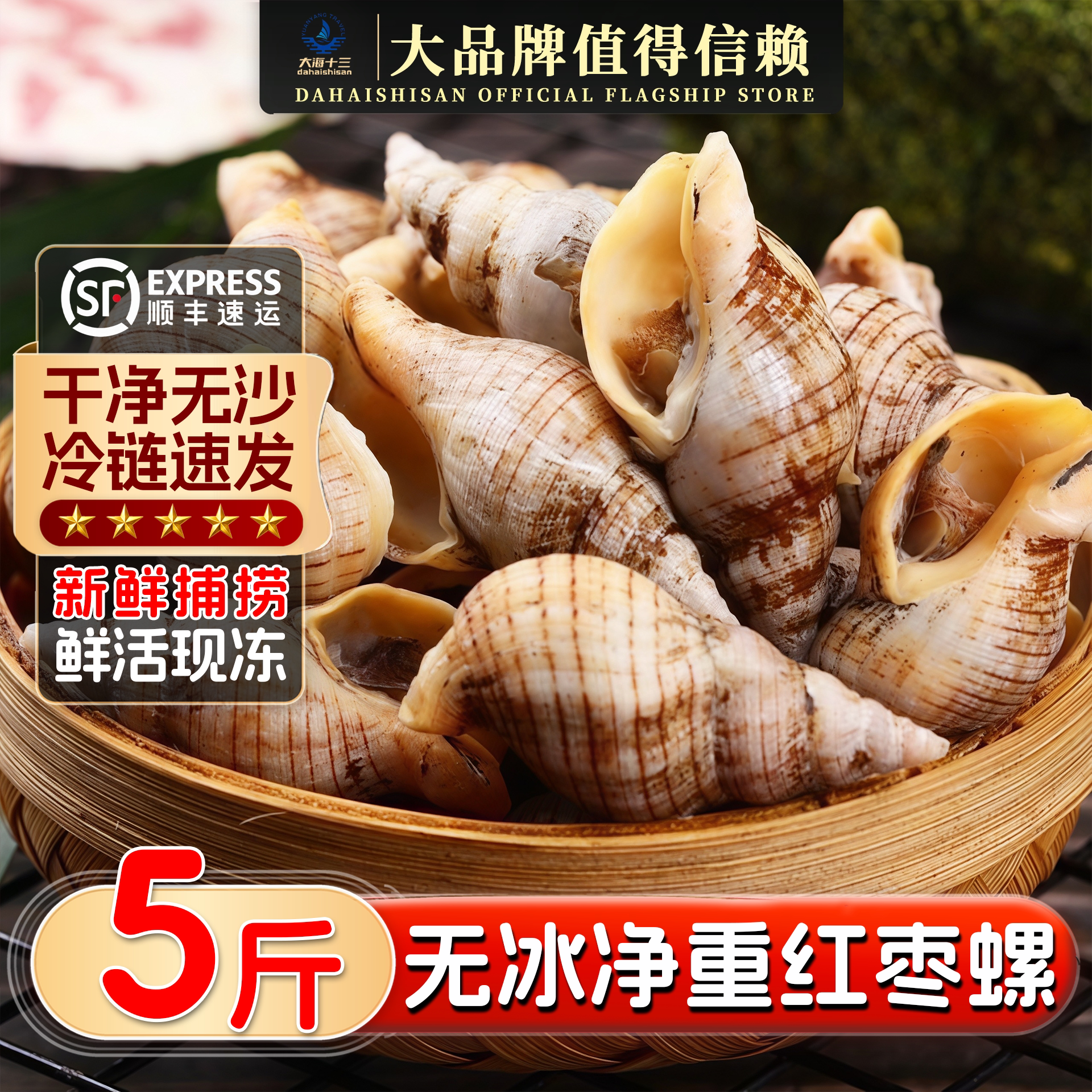 贝贝螺红枣螺白玉螺花螺小海螺丝海瓜子新鲜贝类酒店商用海鲜水产