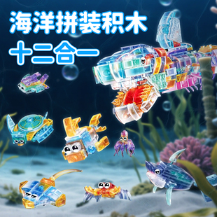海底世界积木盲盒迷你海洋动物手办透明儿童男孩女孩益智拼搭玩具