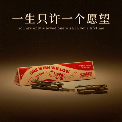 许愿柳条电影痴迷Obsession影视周边ONE WISH WILLOW柳成愿3D打印