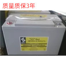 英国进口 SEC 蓄电池 12TLA38/12 TLA65/100SEC-12-MP-18/24a/12V