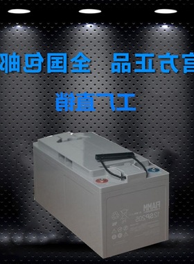 非凡 FIAMM 12SP205 蓄电池 12V200AH 应急灯UPS消防报警应急电源
