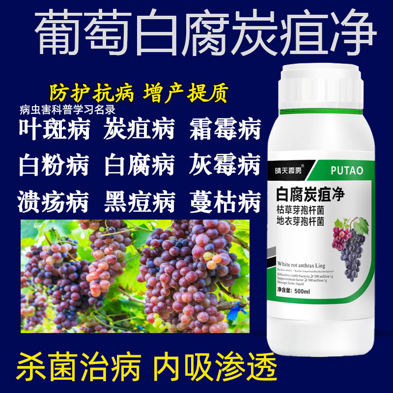 葡萄用药葡萄药病害专用药霜霉病白腐病灰霉病黑痘烂穗炭疽抑菌药