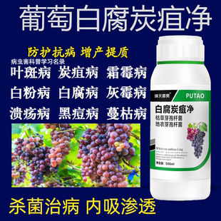 葡萄用药葡萄药病杀菌剂霜霉病白腐病灰霉病黑痘烂穗炭疽病杀菌药