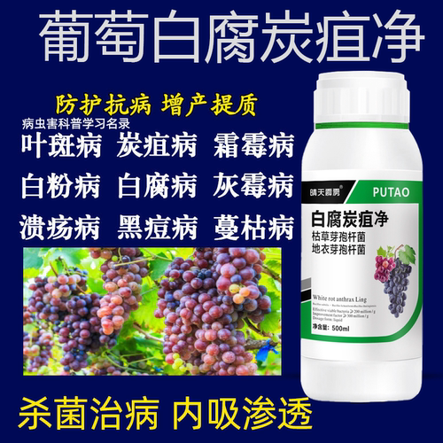 葡萄用药葡萄药病害专用药霜霉病白腐病灰霉病黑痘烂穗炭疽抑菌药