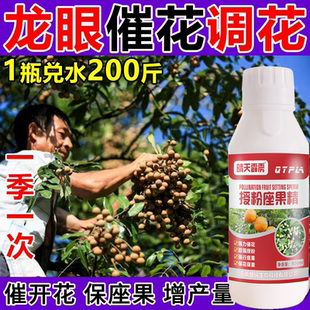 龙眼开花用授粉坐果精桂圆坐果控梢促花素催花剂龙眼树叶面肥料
