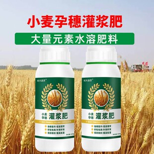 小麦孕穗灌浆叶面肥返青分蘖膨大促早熟籽粒饱满大量元素水溶肥料