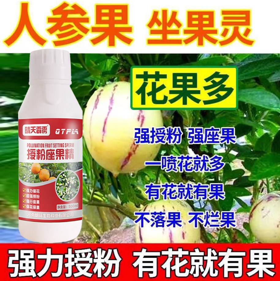 人参果催花坐果菌剂授粉坐果人参果授粉专用药西瓜授粉防落素,农用物资,叶面肥,淘宝优惠券,粉丝福利购,淘宝优惠卷