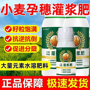 正品小麦金大穗叶面肥促分蘖返青孕穗灌浆肥籽粒饱满生根壮苗批发