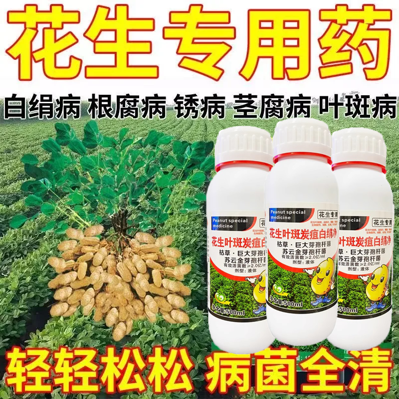 花生病全治死苗烂根叶斑枯萎根腐青枯白绢病毒病锈病花生专用药