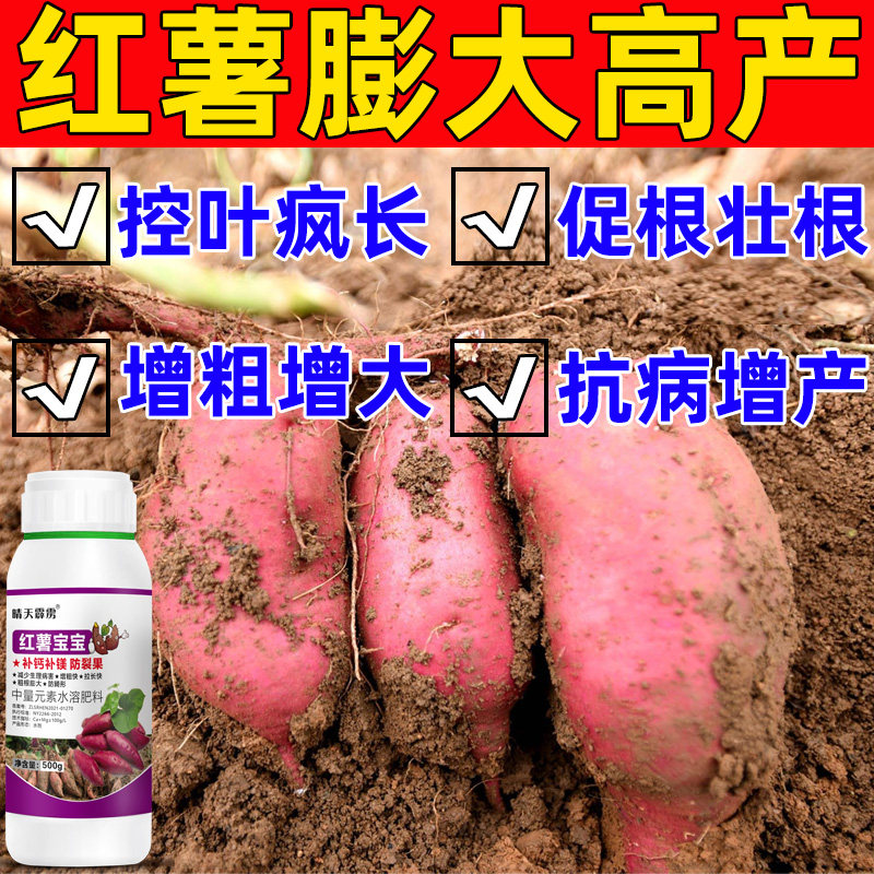 红薯防裂肥红薯宝宝叶面肥农用控旺防裂果畸形地下根茎膨大素肥料