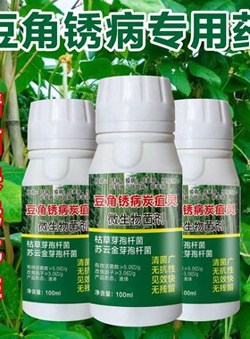 豆角锈病病菌清豆角专用药四季豆病害药根腐病绣病叶霉病灰霉叶斑
