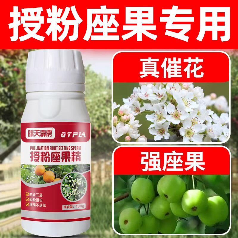 授粉坐果精桃树梨树大樱桃提高授粉催花坐果果树蔬菜授粉肥叶面肥