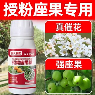 授粉坐果精桃树梨树大樱桃提高授粉催花坐果果树蔬菜授粉肥叶面肥
