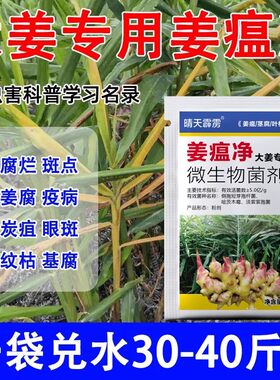 生姜专用姜瘟净姜瘟清生姜专用药生姜大姜烂脖子根腐病茎基腐病