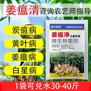 生姜病害杀菌药姜瘟清生姜杀菌剂防治根腐病姜瘟病软腐病杀菌药