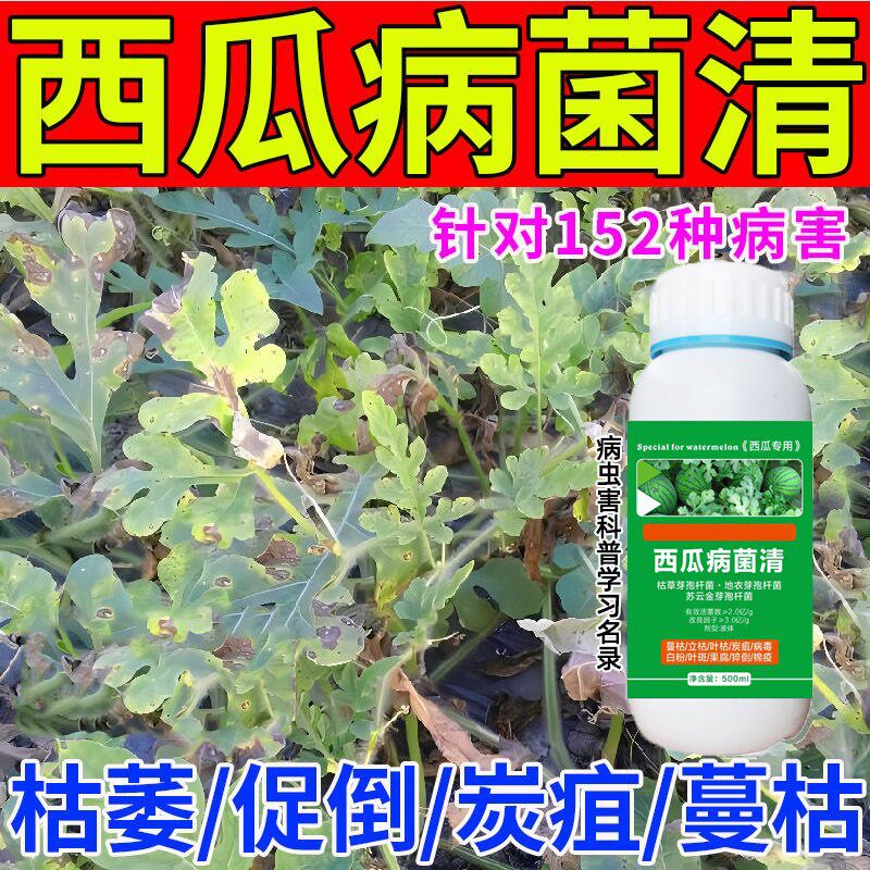 西瓜病害药西瓜病菌清西瓜青枯病炭疽白粉病蔓枯病微生物菌剂