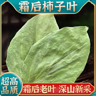 柿子叶500g柿子叶茶中药材柿叶霜后柿子树叶绛新鲜干货泡水喝