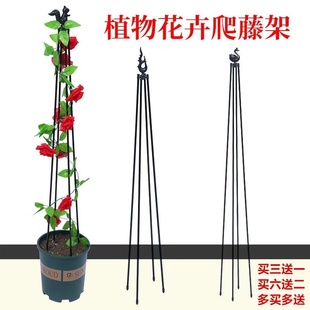 爬藤花架花支架爬藤架铁线莲户外攀爬架植物花盆架室外攀爬支撑架