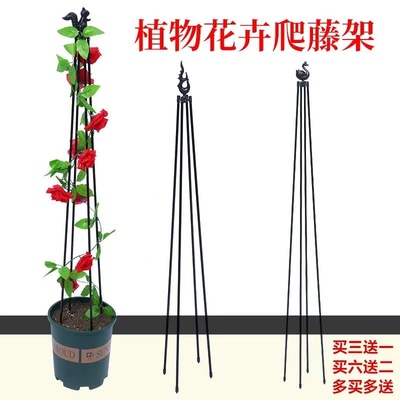 爬藤花架支架铁线莲攀爬植物支撑