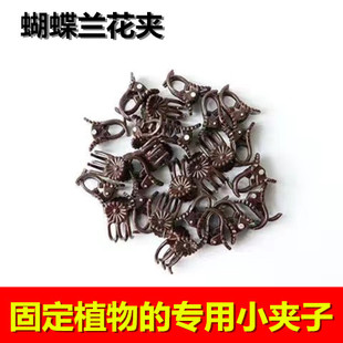 蝴蝶兰支架支撑杆造型架子园艺花卉花枝夹子蔓藤爬藤植物固定夹子