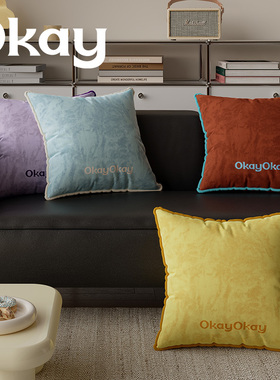 okay丝绒礼物韩系客厅抱枕套沙发抱枕靠垫办公室腰枕套床头靠背垫