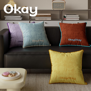 okay丝绒礼物韩系客厅抱枕套沙发抱枕靠垫办公室腰枕套床头靠背垫