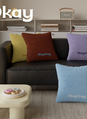 okay丝绒礼物韩系客厅法兰绒抱枕套沙发抱枕办公室腰枕套床头靠垫