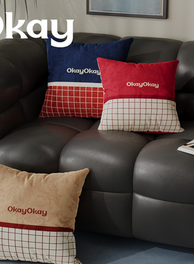 丝绒酒会客厅抱枕套红色新年沙发抱枕靠垫办公室腰枕套床头靠背垫