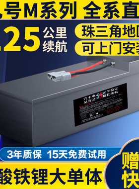 适用于九号M3电动车磷酸铁锂电池N3/M95c/M85c/M5100增程直上电瓶