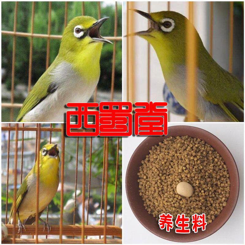 西蜀堂防水便绣眼鸟食养生绣眼鸟鸟食绣眼鸟饲料保色亮羽绣眼鸟食
