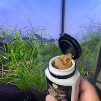 阿諾比薄片增色飼料小型