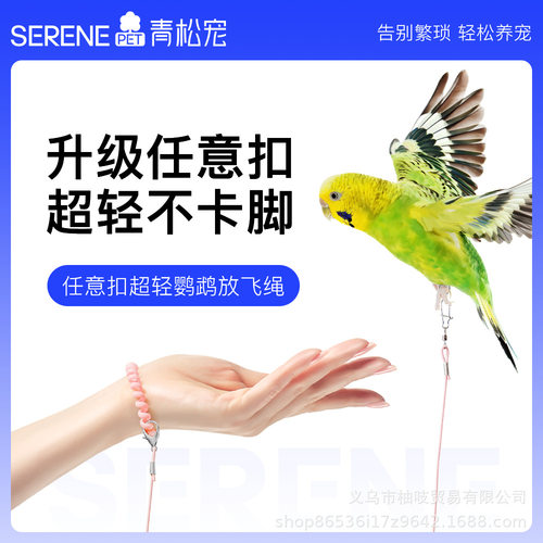 青松宠超轻放飞绳任意扣遛鸟虎皮牡丹玄凤不伤脚牵引脚链
