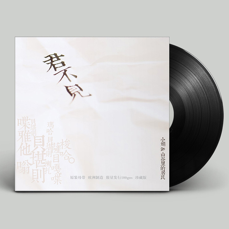 留声机唱盘 小娟&山谷里的居民