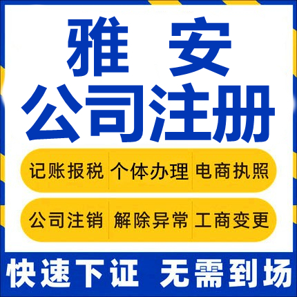 雅安公司注册荥经汉源石棉天全芦山宝兴工商营业执照代办注销变更