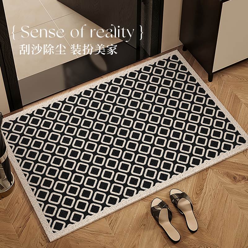 入户门地垫家用进门玄关耐脏防滑高级感丝圈门垫大门口地毯可裁剪