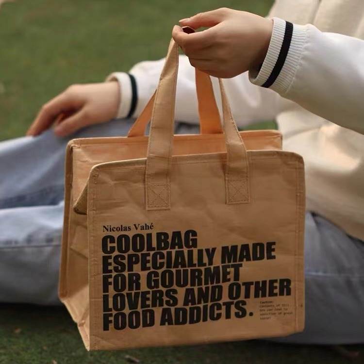 新款 便当袋大容量高颜值ins风防水铝箔保温袋上班族手提带饭袋便