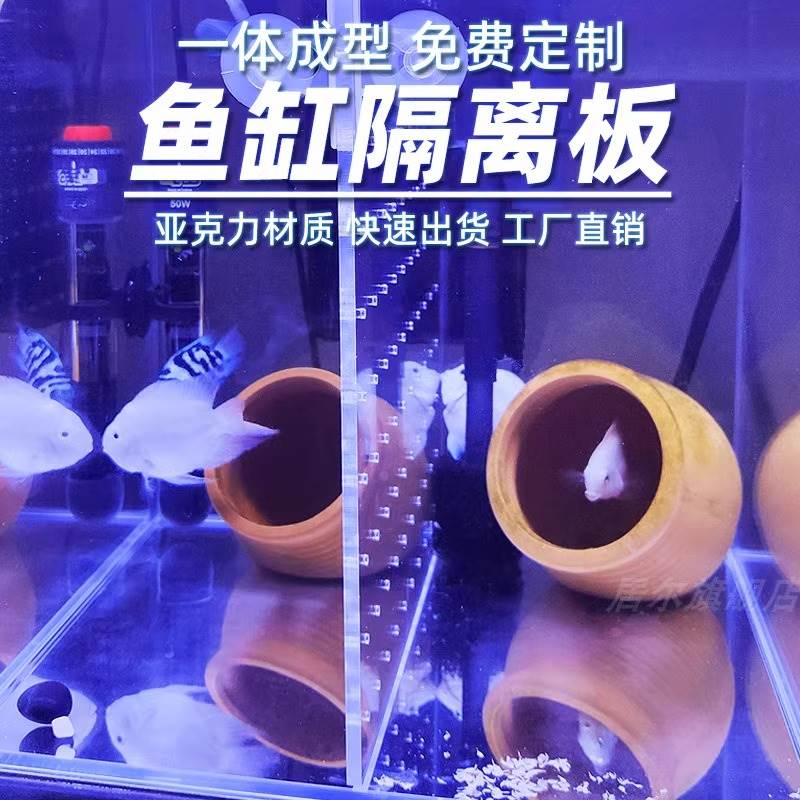 鱼缸加密隔离板底滤板水族箱网格板透明隔离网盖板乌龟晒台防跳网