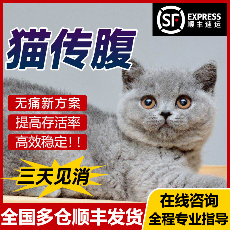 猫传腹消腹水腹膜炎fipv治疗针剂