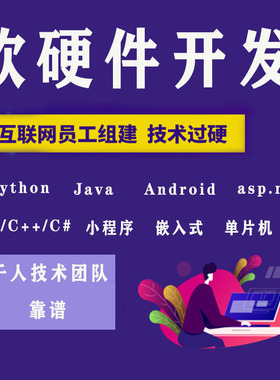 计算机软件小程序开发python代编程设计java代码编写matlab代做码
