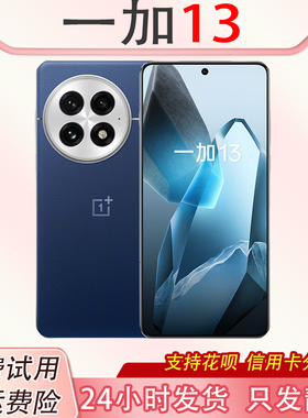 OnePlus/一加 一加 13