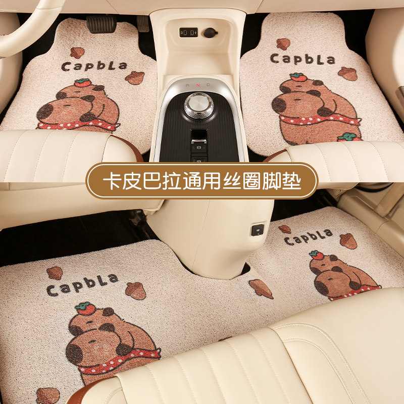 2025新款汽车脚垫可爱卡通丝圈车内防脏地毯保护垫子加厚通用耐磨