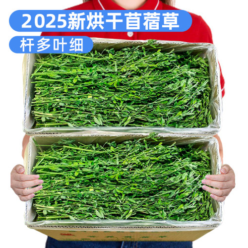 2025烘干！苜蓿草兔子专用草