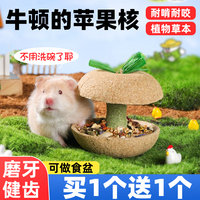 仓鼠磨牙棒苹果核耐咬金丝熊营养粮食小零食解闷玩具造景用品大全