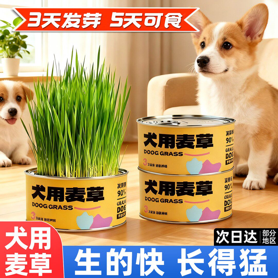 犬用麦草狗狗零食可食用排毛化毛懒人无土盆栽清洁口气助消化猫草