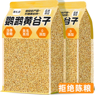 鹦鹉饲料鸟粮新黄谷子带壳小米虎皮牡丹玄凤鸟饲料中小型鹦鹉营养