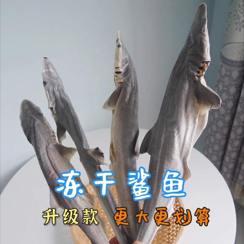 冻干大鲨鱼狗狗磨牙棒