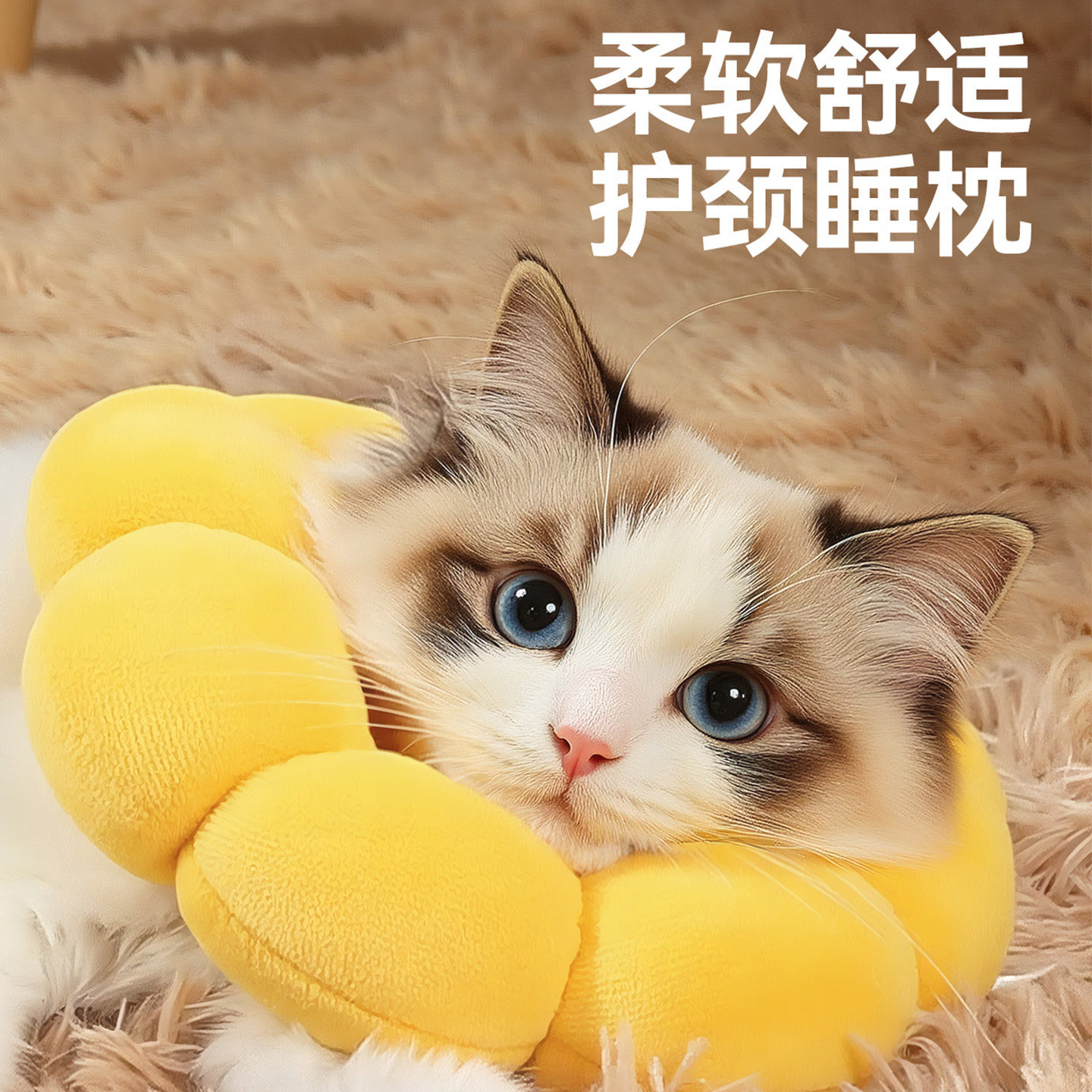 猫咪项圈伊丽莎白宠物狗狗脖套幼小犬不勒脖子防舔神器防走丢专用
