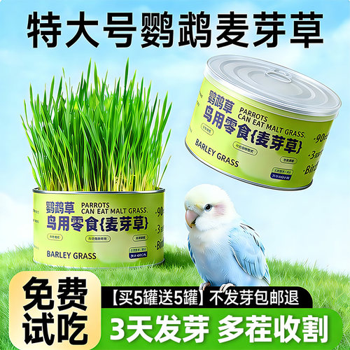 央妈力荐(天然|0添加!)鹦鹉鸟草